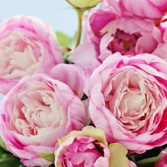 Лилия Выгонюк, 10.02, Винница