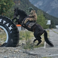 Назир Балаев, Санкт-Петербург