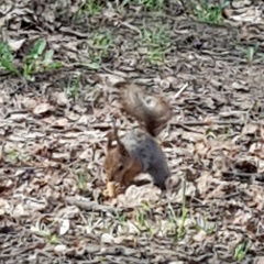 Петр Викторов, 23.06.1987, Москва