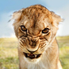 Андрей Павлов, Челябинск