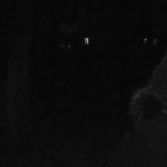 Костя Горбунов, 03.06