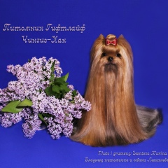 Марина Леонтьева, 10.01, Санкт-Петербург