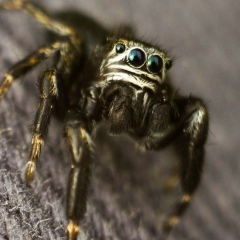 Yaugen Slizh, 18.11.1987, Гродно