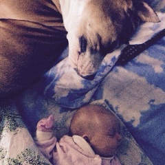 Medoed Izorskii, 14.11, Санкт-Петербург