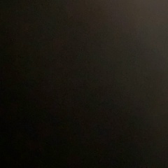 Клара Цветаева, Berlin