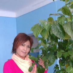 Арайка Кудабаева, 12.11, Алматы