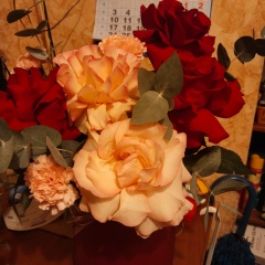 Вероника Паукова, 24.01, Санкт-Петербург