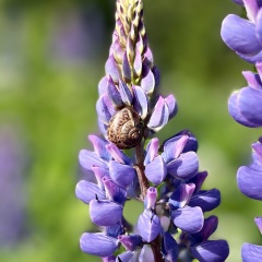 Екатерина Скобелева, 13.08, Санкт-Петербург