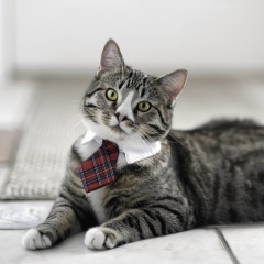 Владислав Сурков, 01.08, Восточный