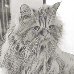 Вячеслав Пироженко, 24.03, Кандалакша