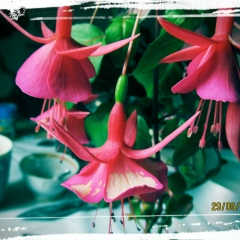 Оюна Юндунова, 01.11, Улан-Удэ