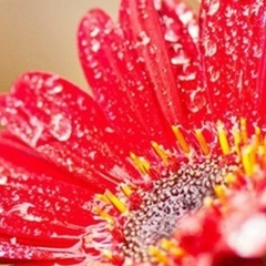 Елена Борисова, 25.09, Сыктывкар