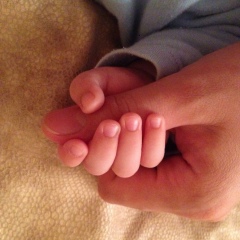 Балнур Хамза, Шымкент