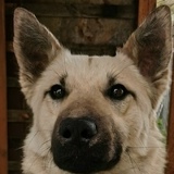 Дмитрий Щукин, 08.12, Калуга