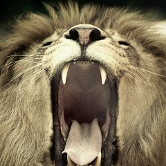 Aman Zholdasbayev, 18.10.1979, Кызылорда