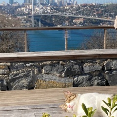 Виталий Маслов, 05.01, Москва