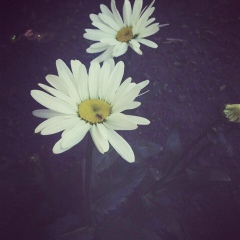 Фариде Амагова, 03.04.1991, Грозный