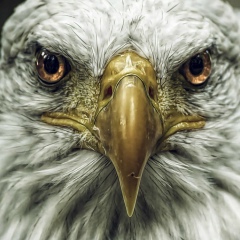 Макс Боголей, 12.03, Алматы