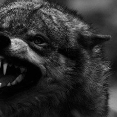 Бакар Вараев