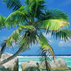 Лейла Фанисовна, 27.06.1988, Казань