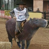 Gaudério Marcelo, 12.02.1985, Porto Alegre