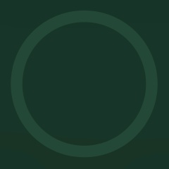 Вячеслав Владимирович