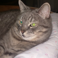 Владислав Васенин, 28.07.1992, Бийск