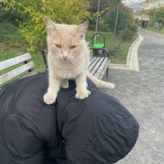 Dmitriy Rampagovich, 09.05.1901, New York City