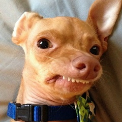 Алексей Дибров, 24.08.1984, Санкт-Петербург