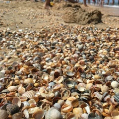 Айгуль Хафизова, 15.01.1985, Екатеринбург