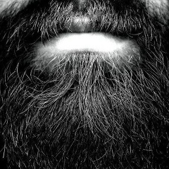 Дмитрий Ходарев