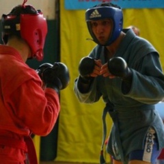 Vip Arsenchik, 17.01, Санкт-Петербург