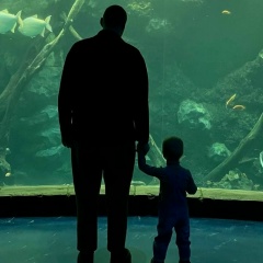 Михаил Болтушкин, Москва