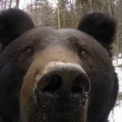 Олег Колин, 12.10.1984, Санкт-Петербург