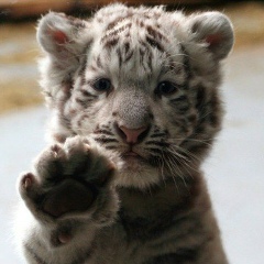 Сергей Ким, 14.06.1991, Атырау
