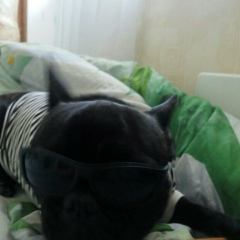 Алексей Гладков, 03.05.1988, Новосибирск