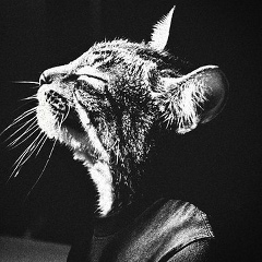 Абзал Абдикамитов, 03.02, Астана