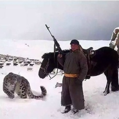 Айбек Салимов, 29.10, Астана