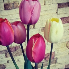 Таня Марчук, 05.03.1991, Винница