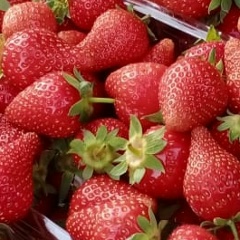 Илья Орлов, 30.04.1986, Краснодар