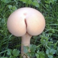 Виталий Куда, 01.05, Wellington