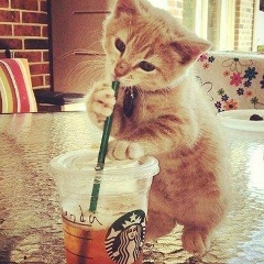 Мага Шамилов, Кизилюрт