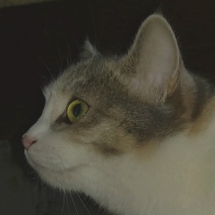 Виктор Филатов