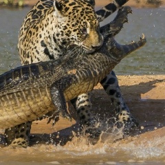 Борис Лигай, 04.06.1978, Атырау