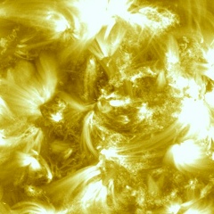 Илья Дорожкин