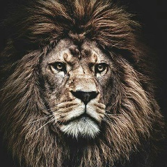 Islam Mekemtasov, 15.09.1992, Алматы