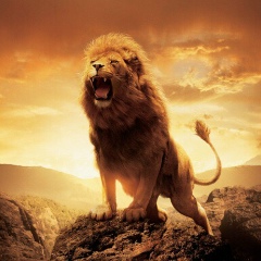 Uruzmag Kusraev, 01.01.1995, Москва