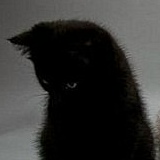 Никита Кошель, 12.05, Николаев