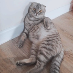 Инара Есетова, 07.10, Алматы