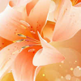 Ліля Трофимюк, 03.06, Луцк